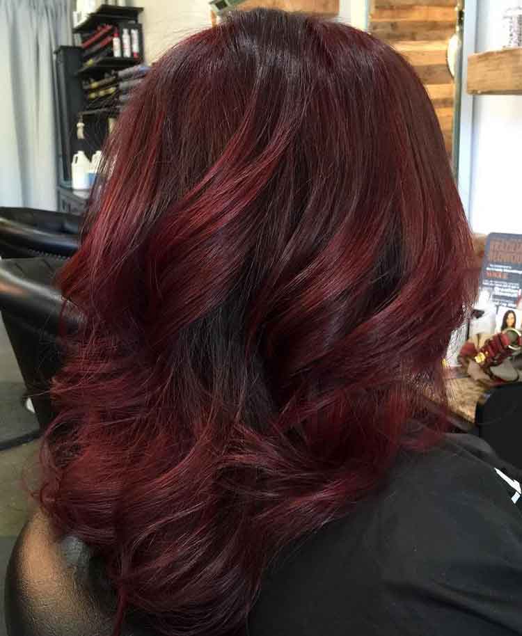warna rambut burgundy dan plum