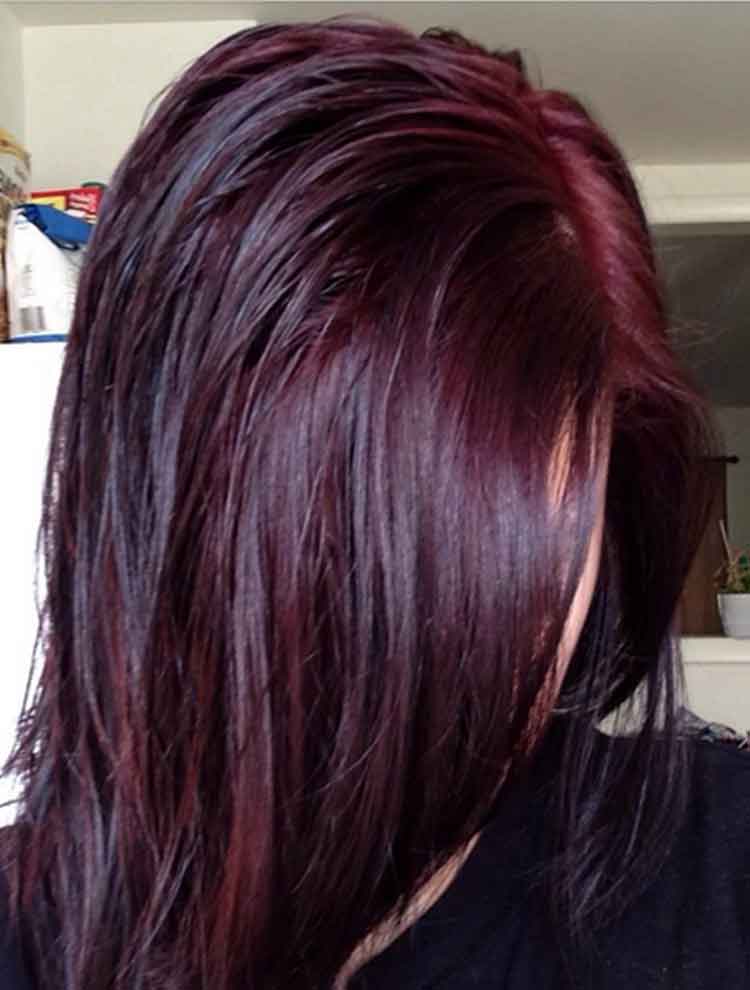 pewarna rambut sasha warna burgundy